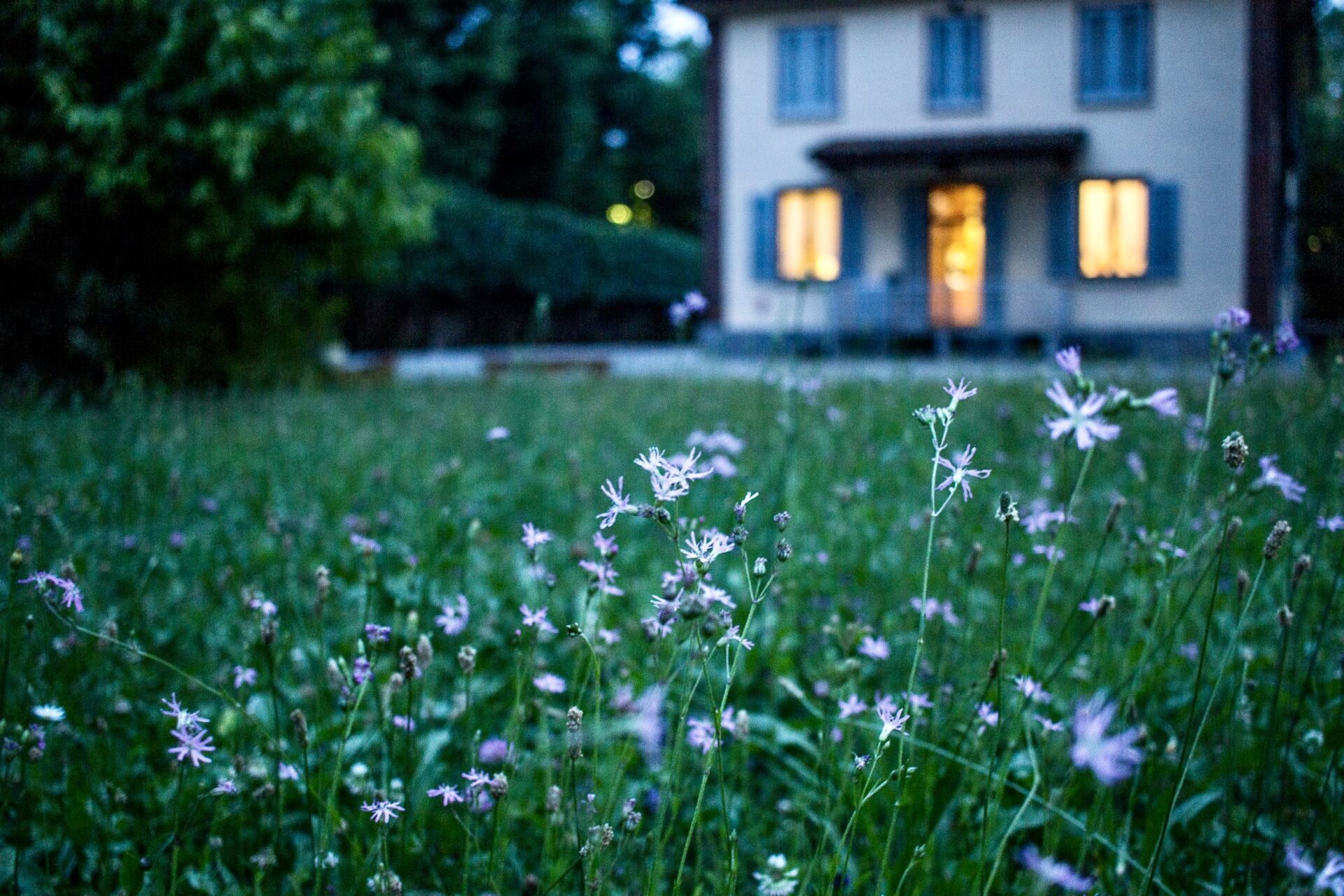 Valentina locatelli P8bsrm8KbM0 unsplash.jpg