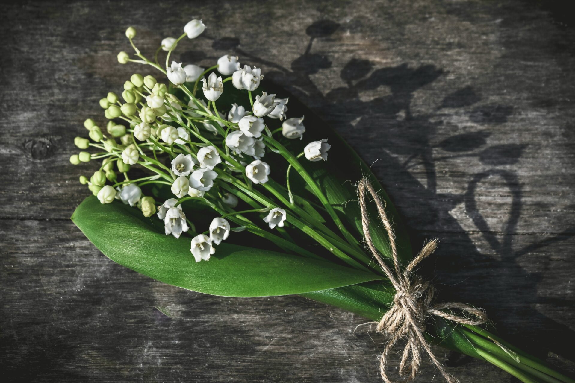 Single bouquet of flowers
