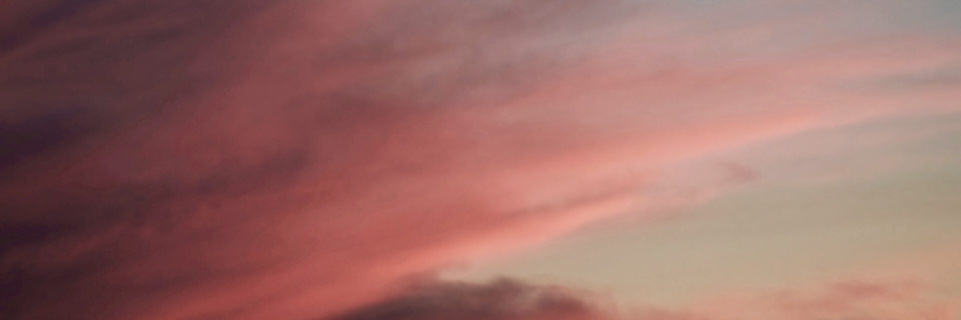 Sunset pinks
