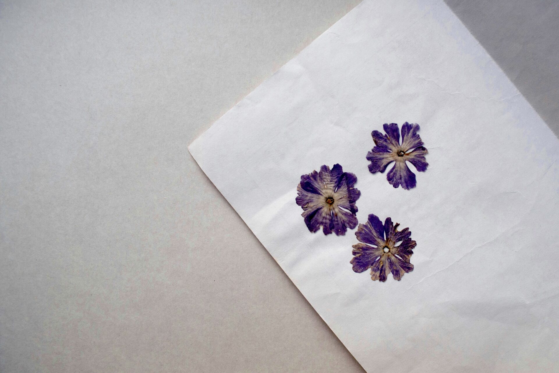 Personal flower stationary