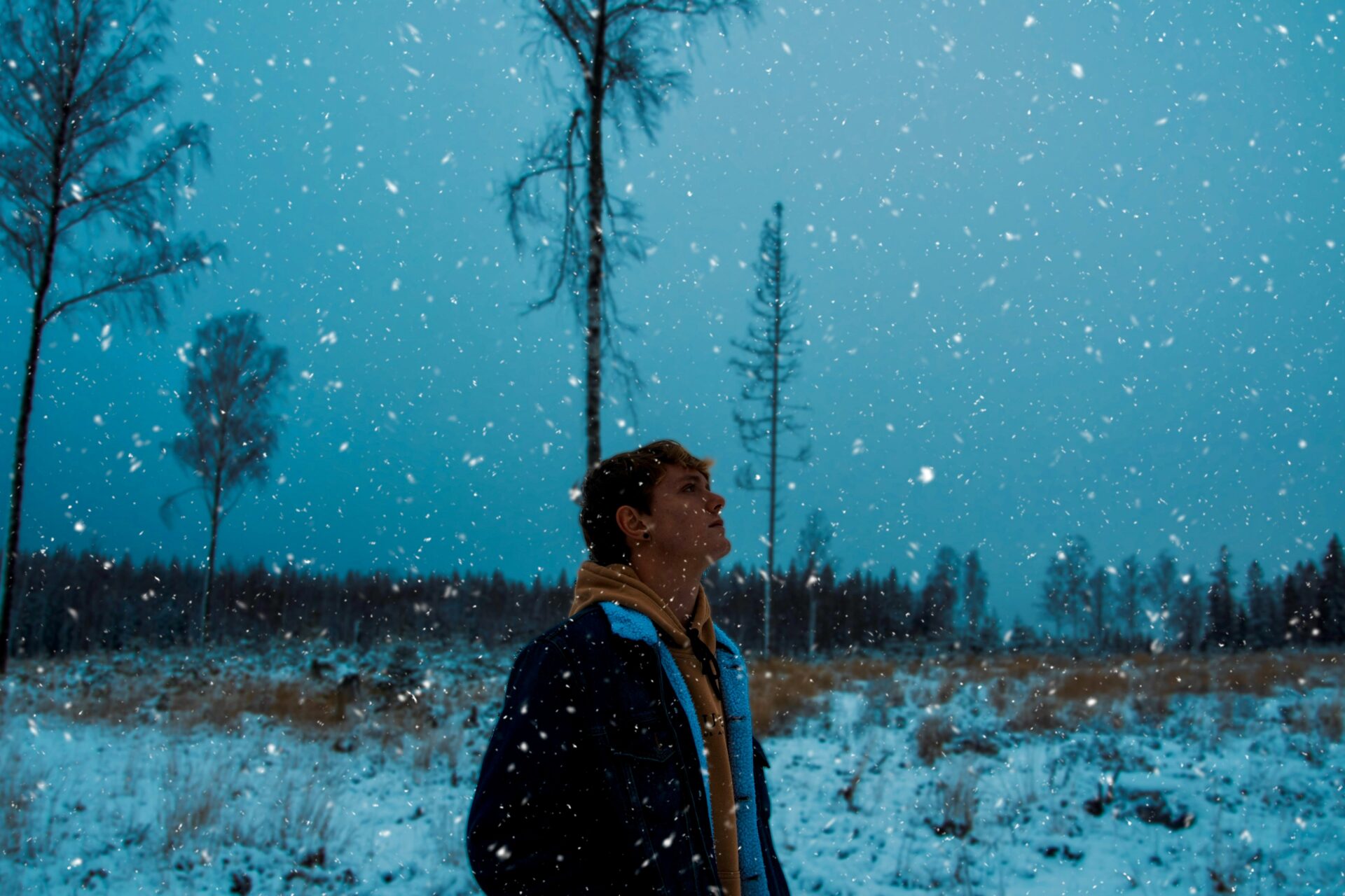 Thinking in the snow